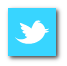 Follow us on Twitter